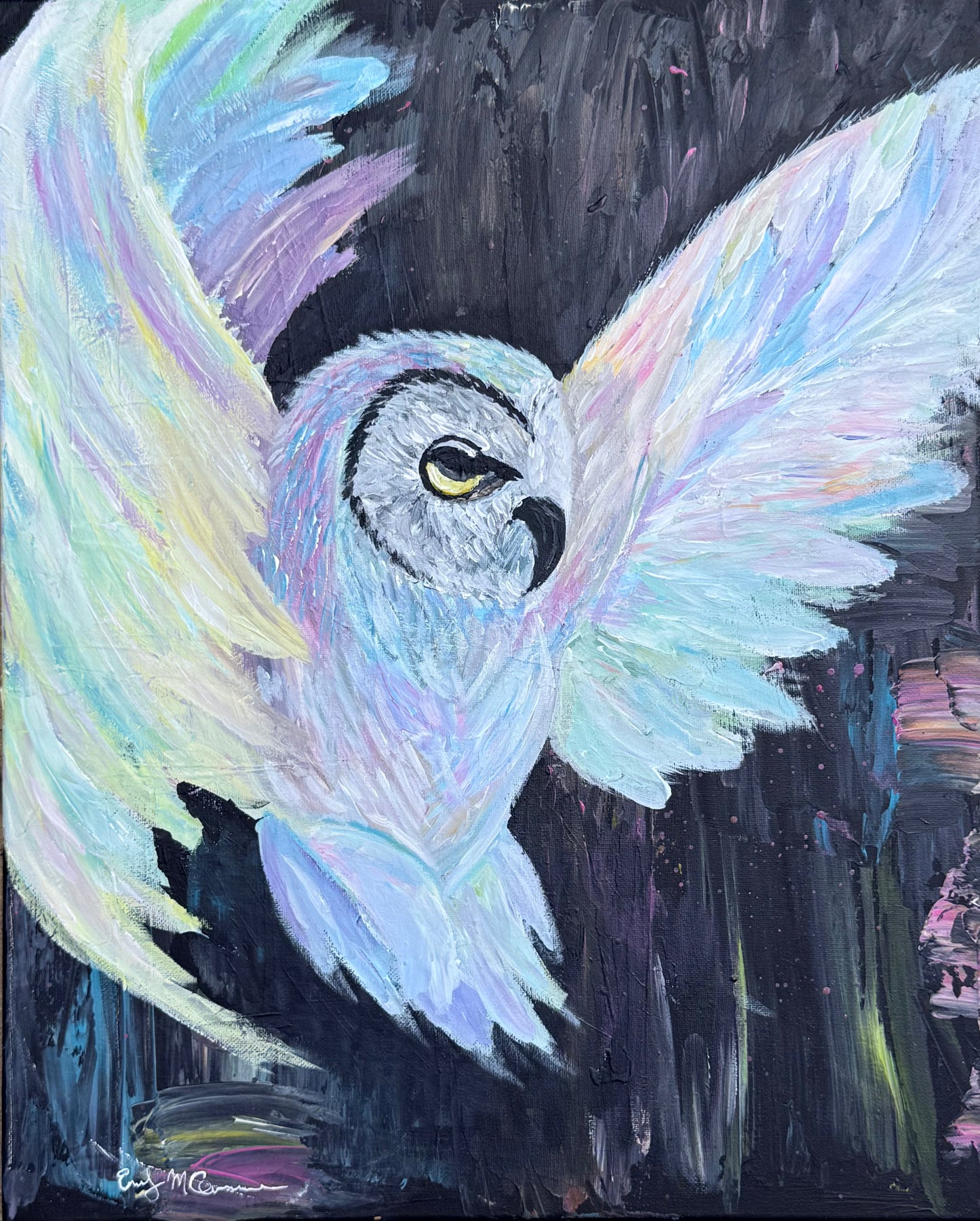 She Wears the Northern Sky